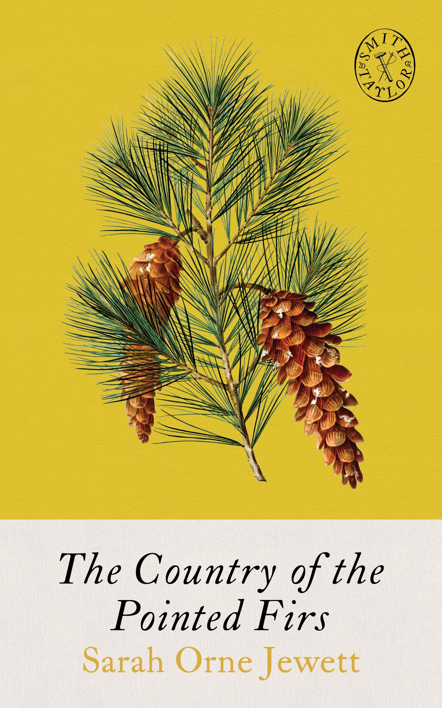 Vorderes Coverbild The Country of Pointed Firs