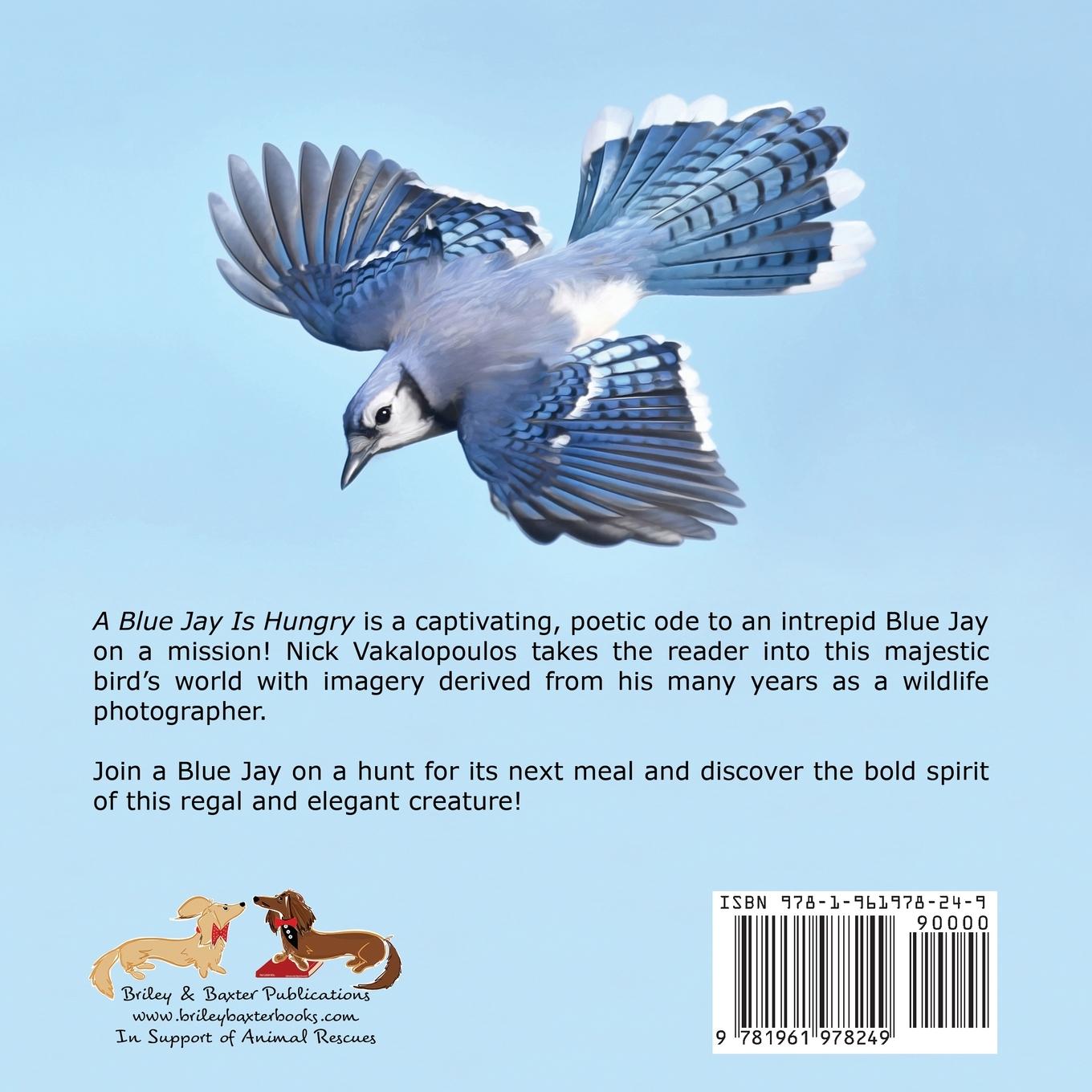 Rückseitencover A Blue Jay is Hungry