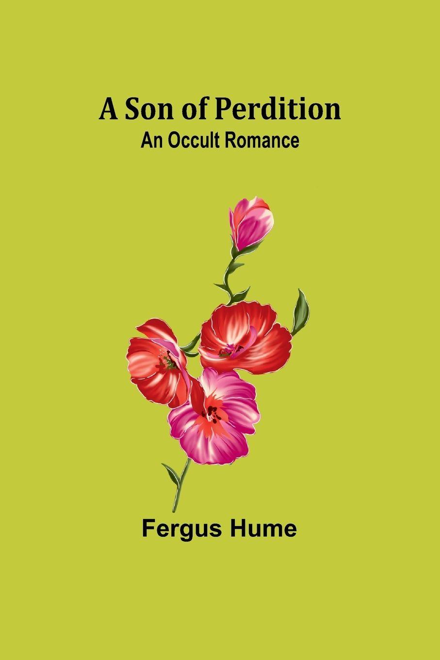 Vorderes Coverbild A Son of Perdition