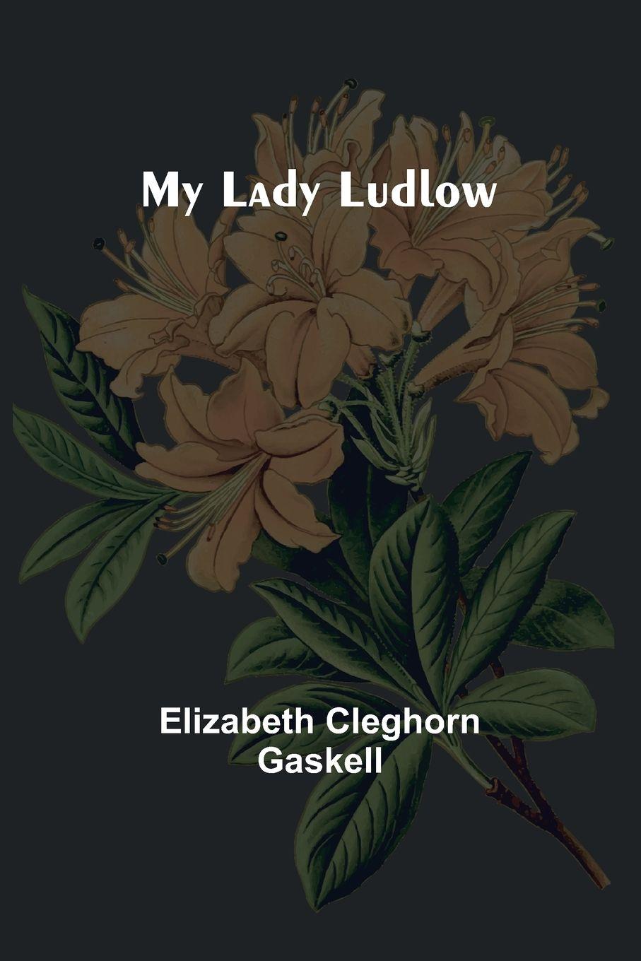 Vorderes Coverbild My Lady Ludlow