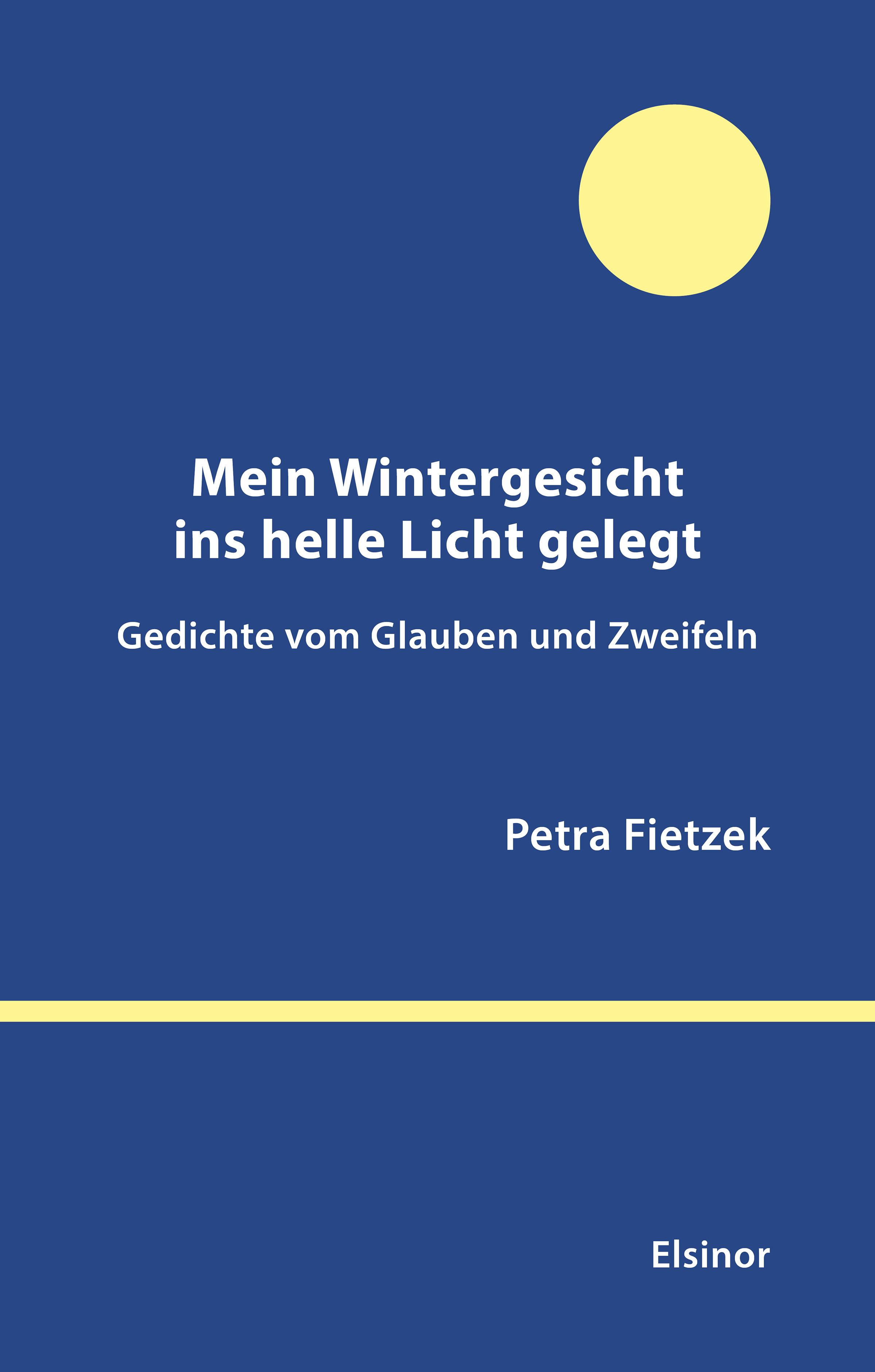 Vorderes Coverbild Mein Wintergesicht ins helle Licht gelegt