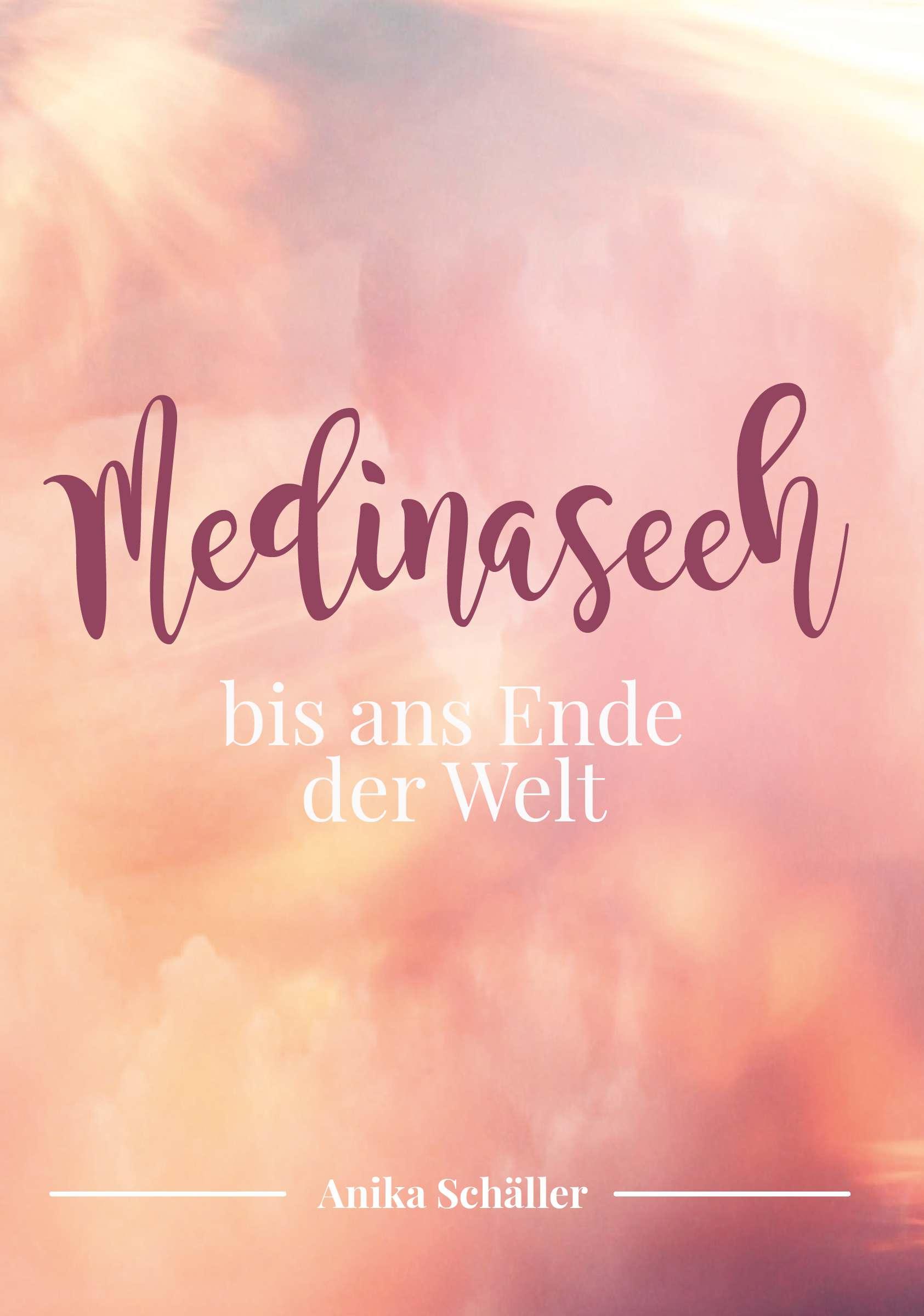 Vorderes Coverbild Medinaseeh Band 2