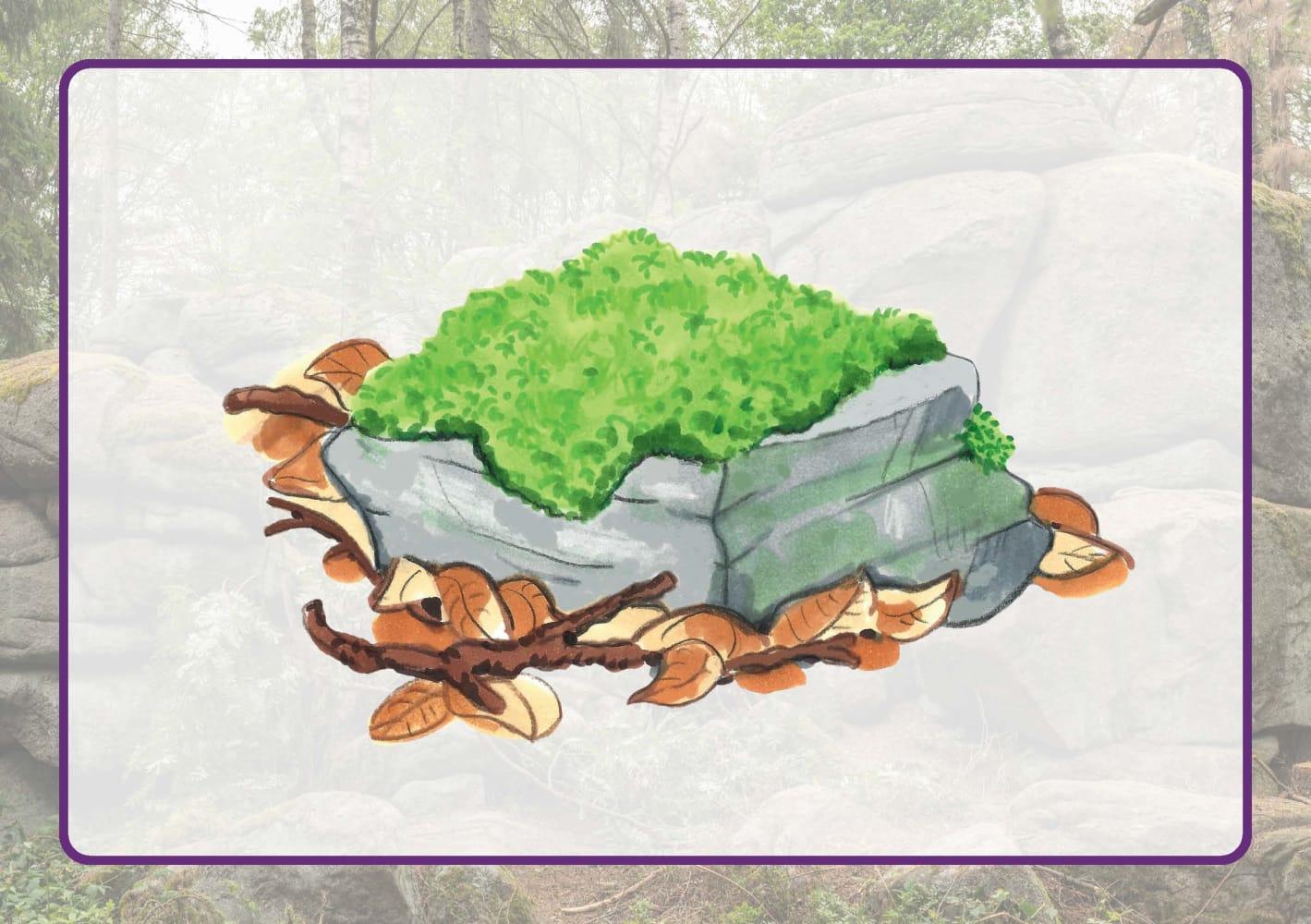 Beispielinhalt (Bild) Ab ins Reich der Steine!