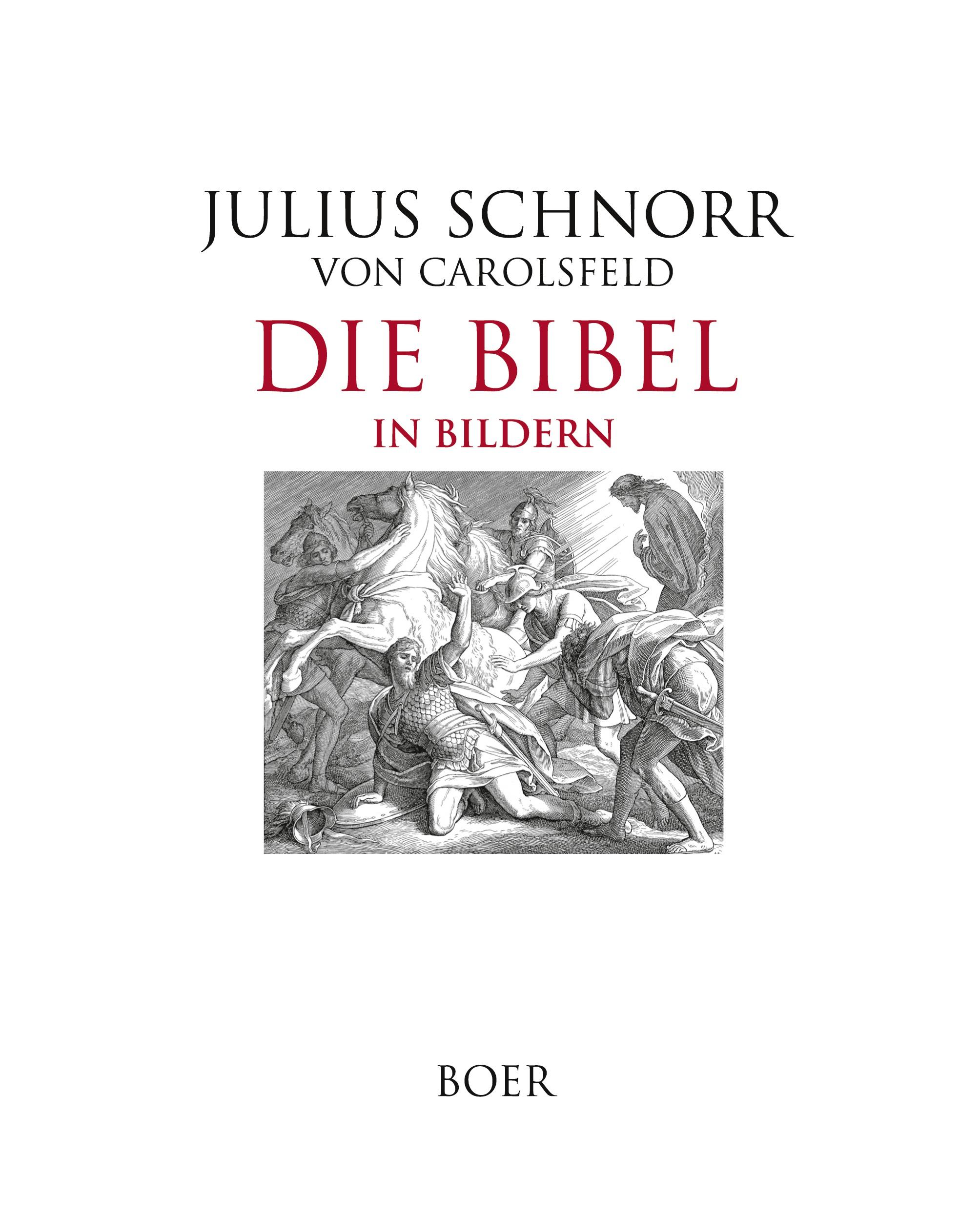 Vorderes Coverbild Die Bibel in Bildern