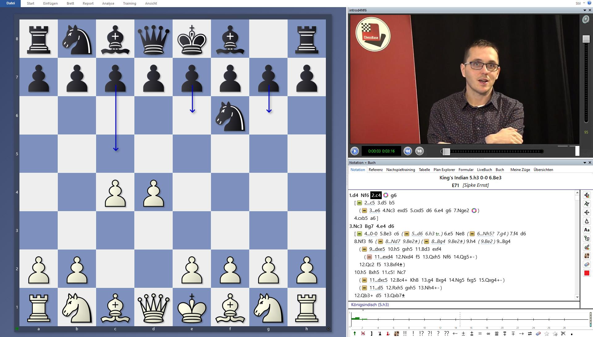 Beispielinhalt (Bild) A practical repertoire for the positional player after 1.d4 - Vol. 2