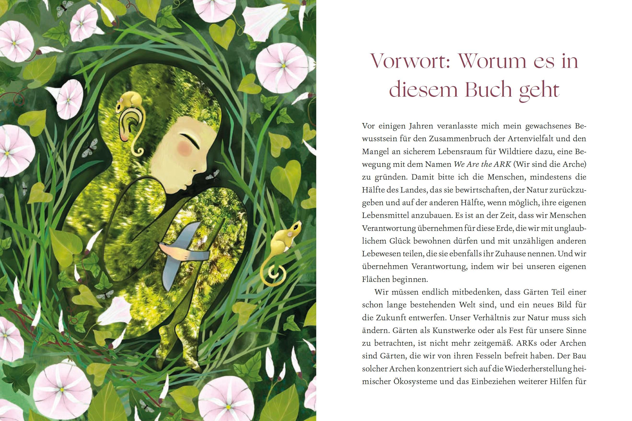 Beispielinhalt (Bild) Wir sind die Arche