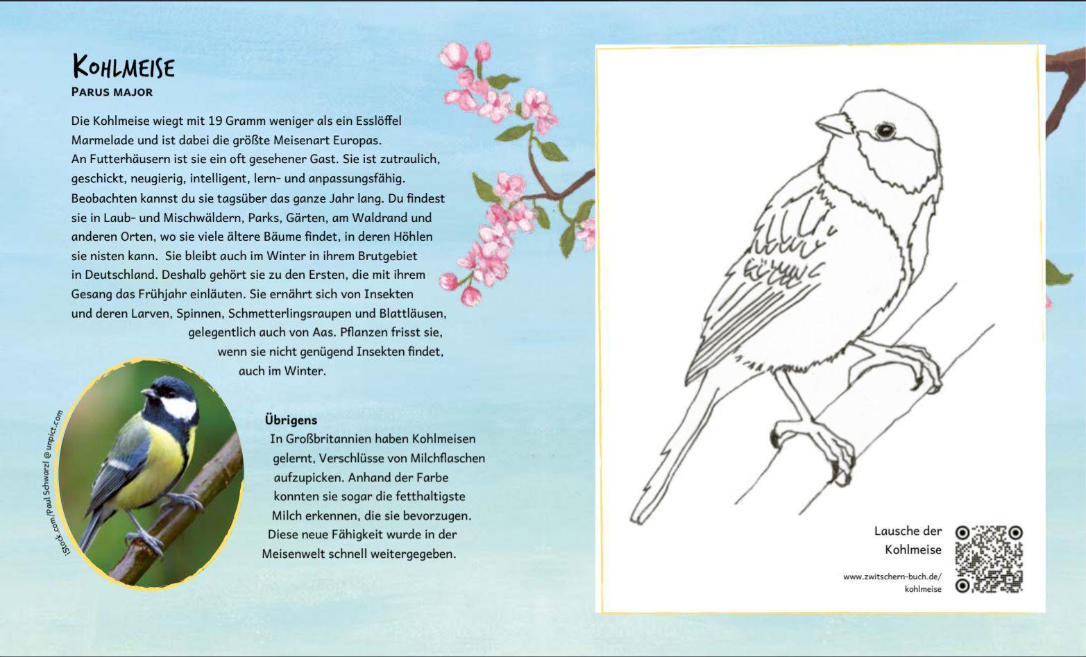 Beispielinhalt (Bild) Das Zwitschern der Vögel
