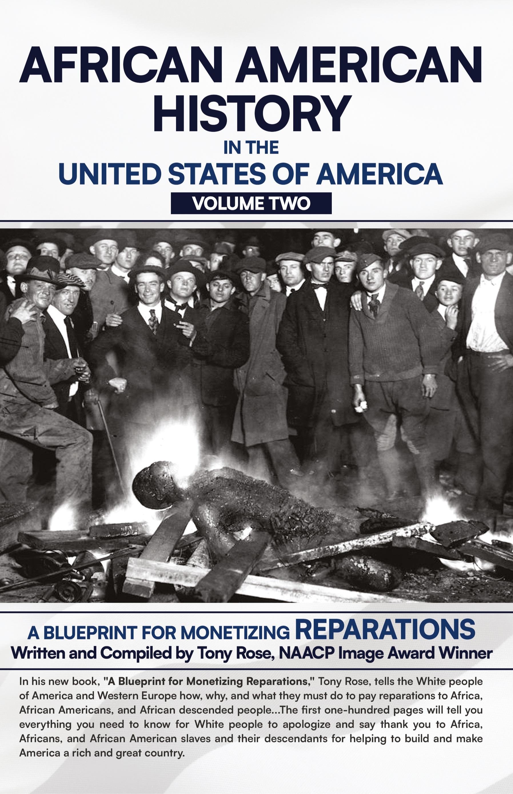 Vorderes Coverbild African American History in the United States of America (Volume Two)