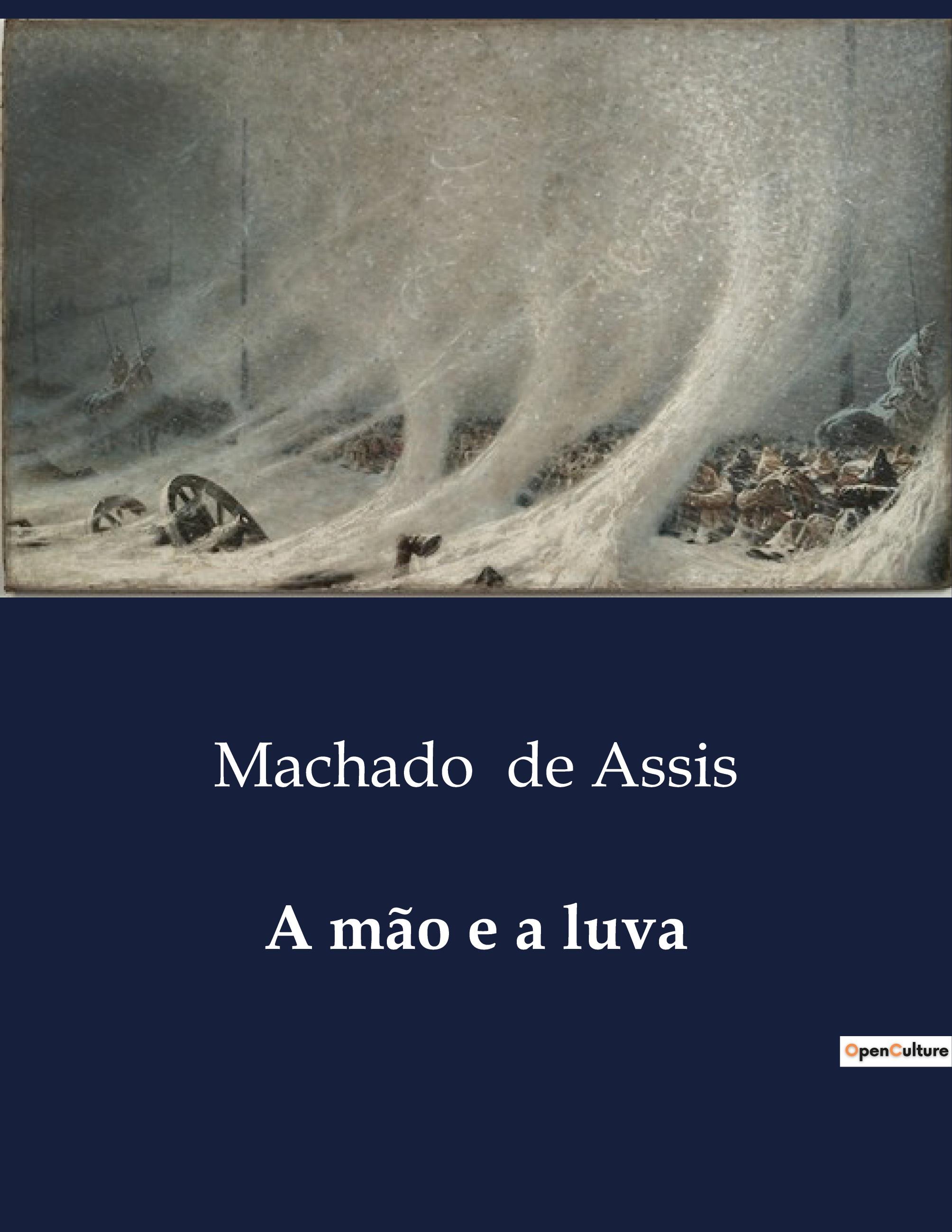 Vorderes Coverbild A mão e a luva