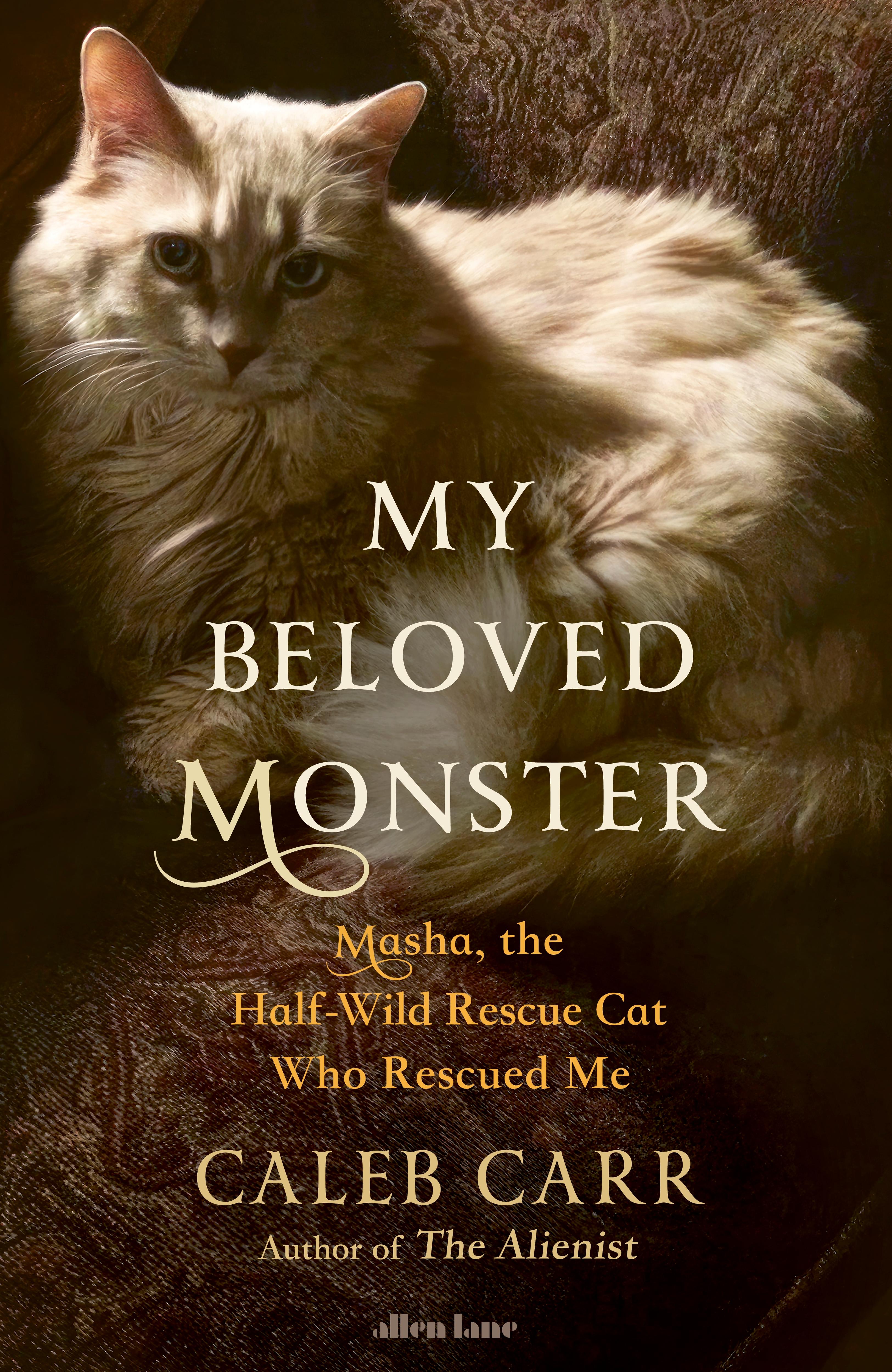 Vorderes Coverbild My Beloved Monster
