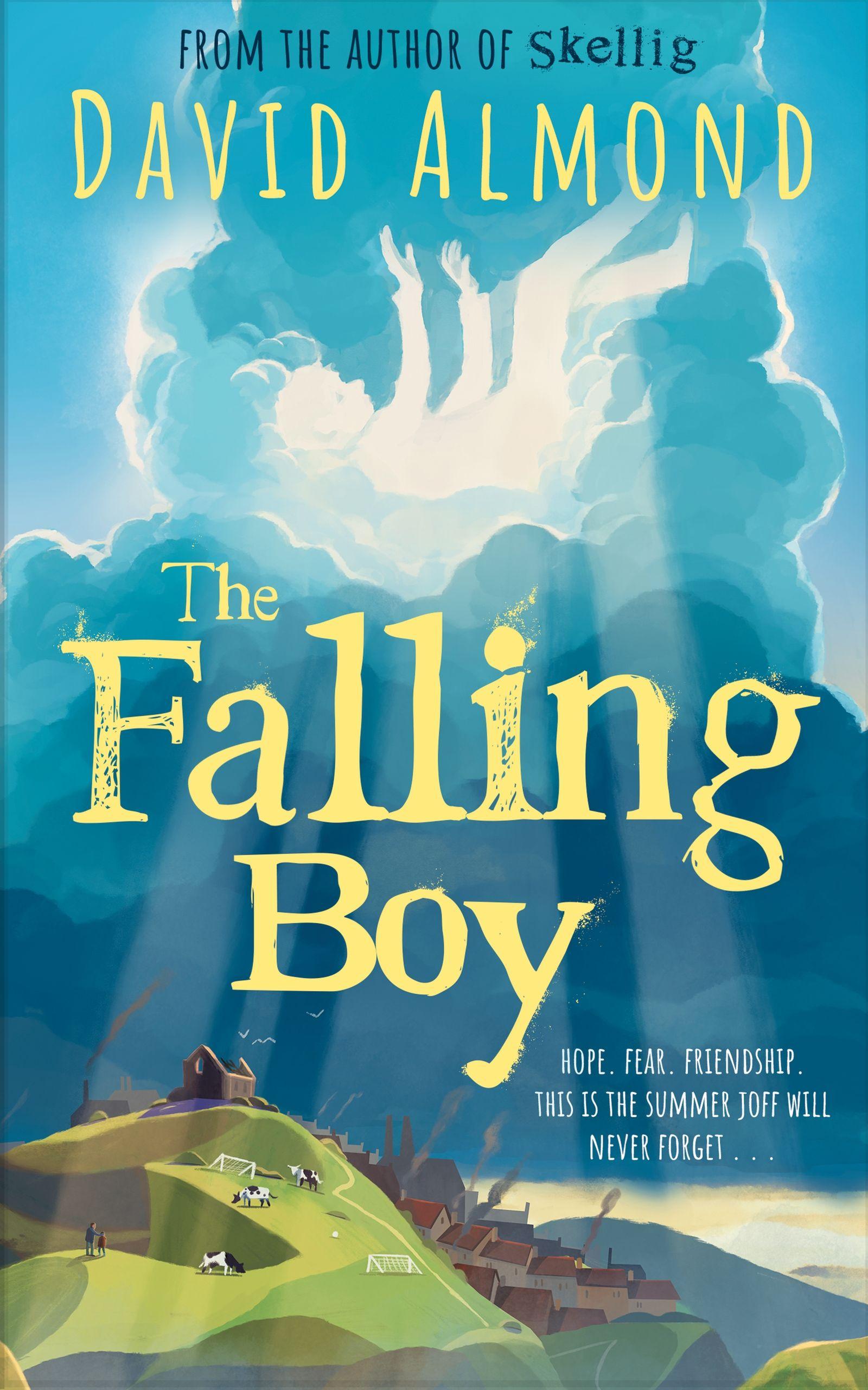 Vorderes Coverbild The Falling Boy