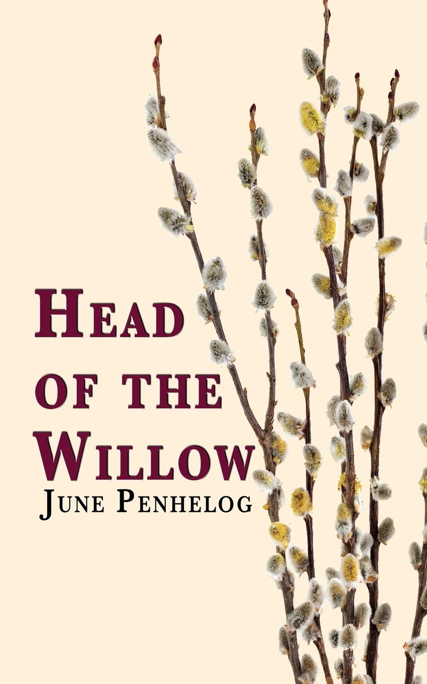 Vorderes Coverbild Head of the Willow