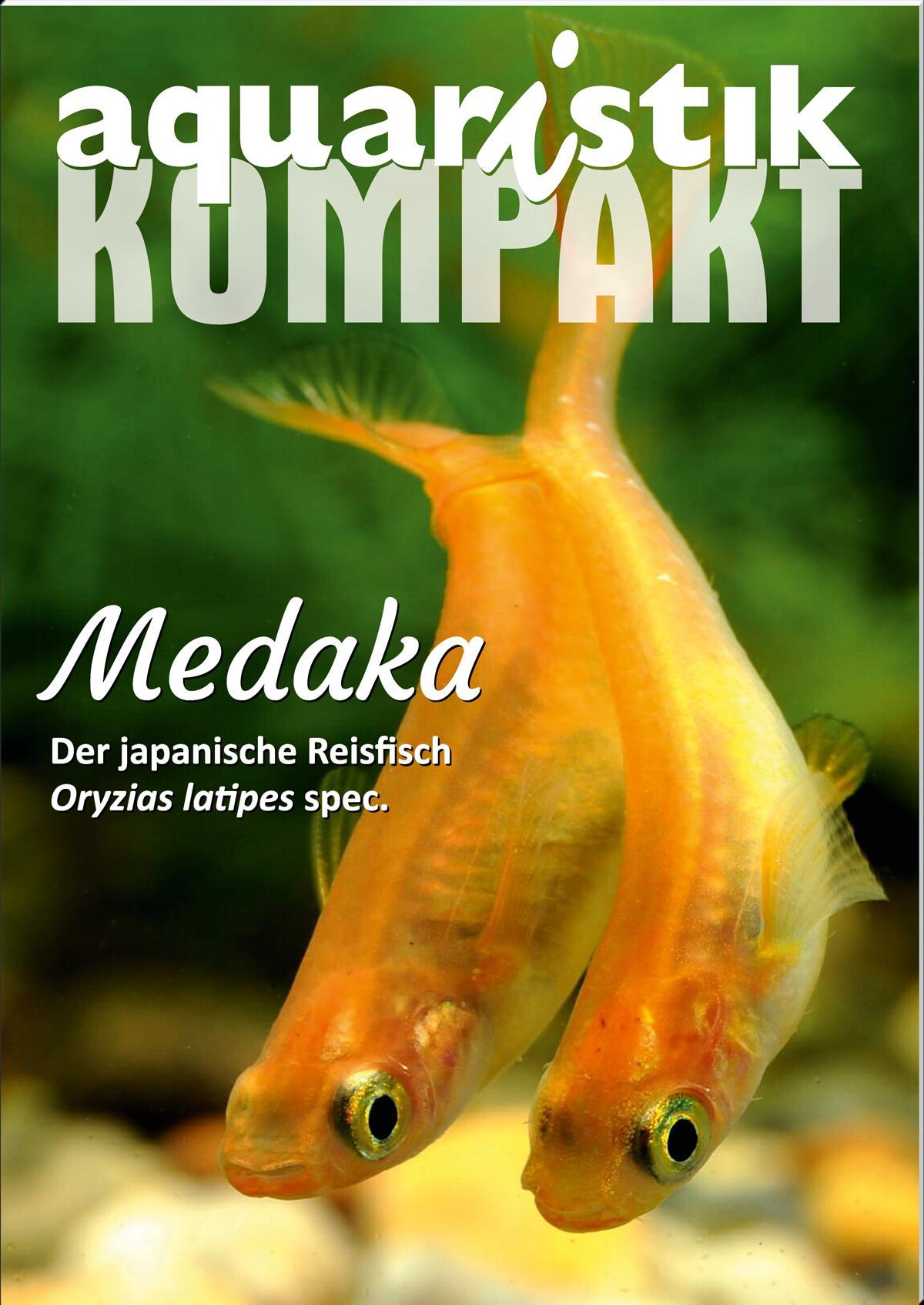Vorderes Coverbild Medaka - aquaristik KOMPAKT