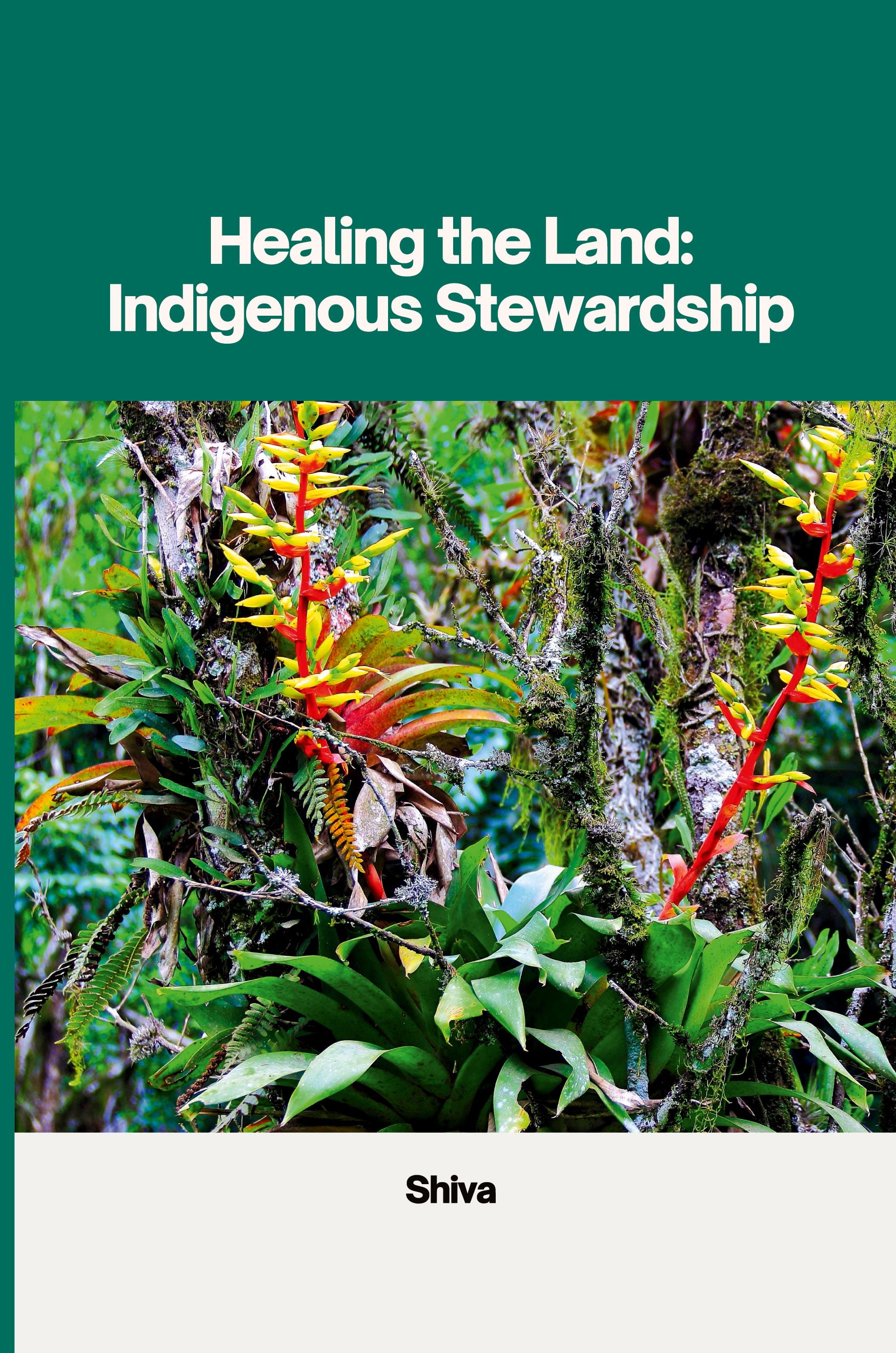 Vorderes Coverbild Healing the Land: Indigenous Stewardship