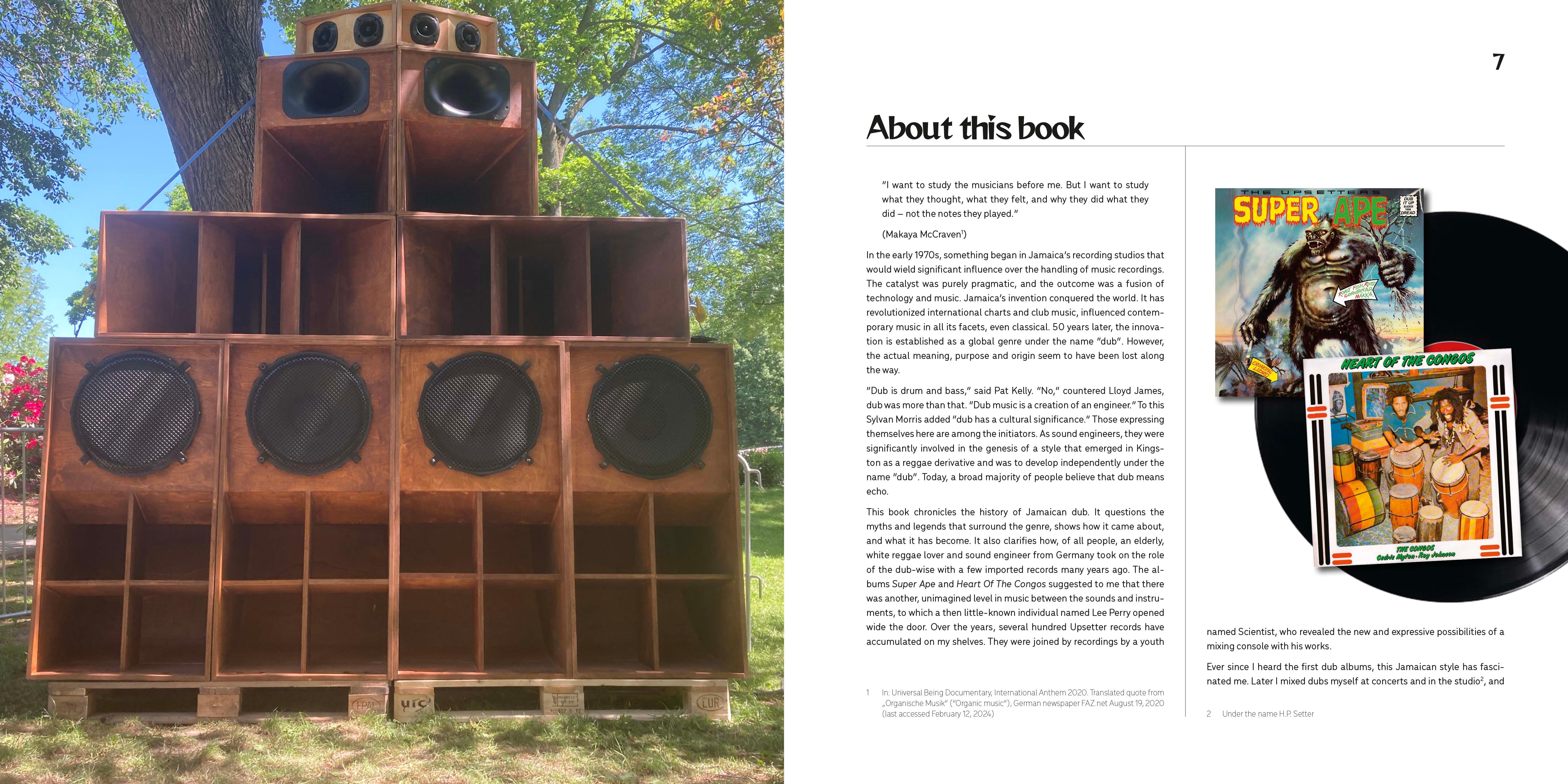 Beispielinhalt (Bild) Dub - The Sound of Surprise