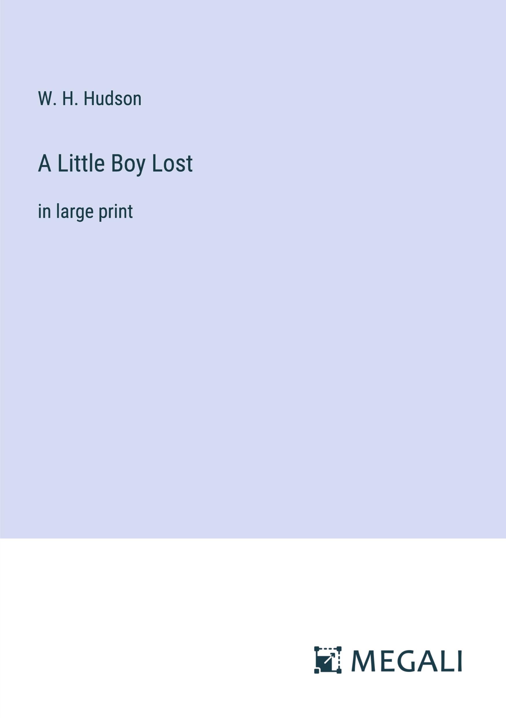 Vorderes Coverbild A Little Boy Lost