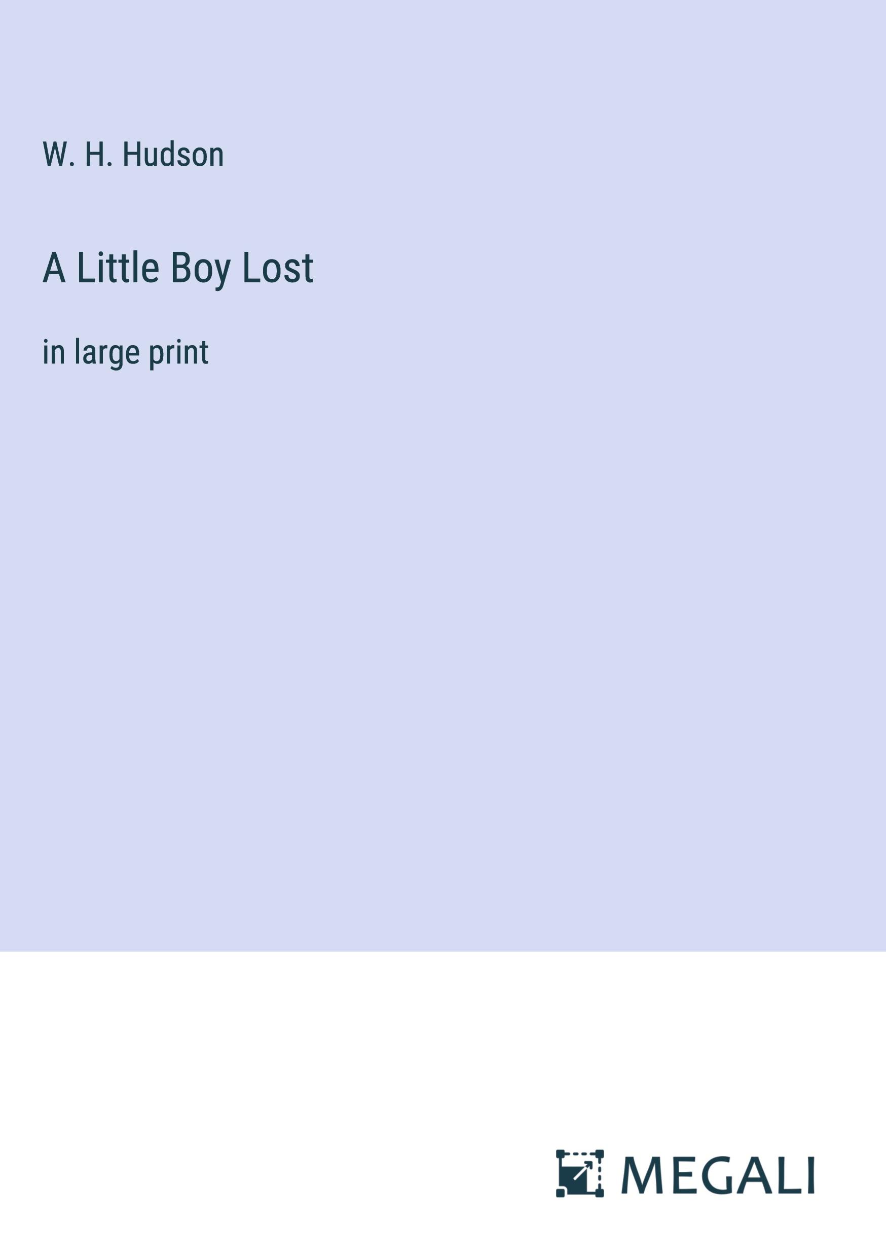 Vorderes Coverbild A Little Boy Lost