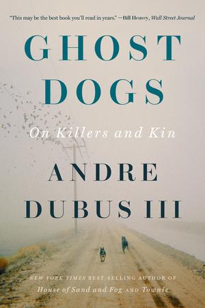 Vorderes Coverbild Ghost Dogs