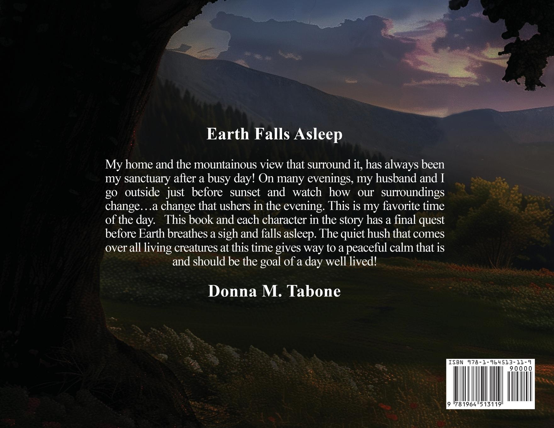 Rückseitencover Earth Falls Asleep