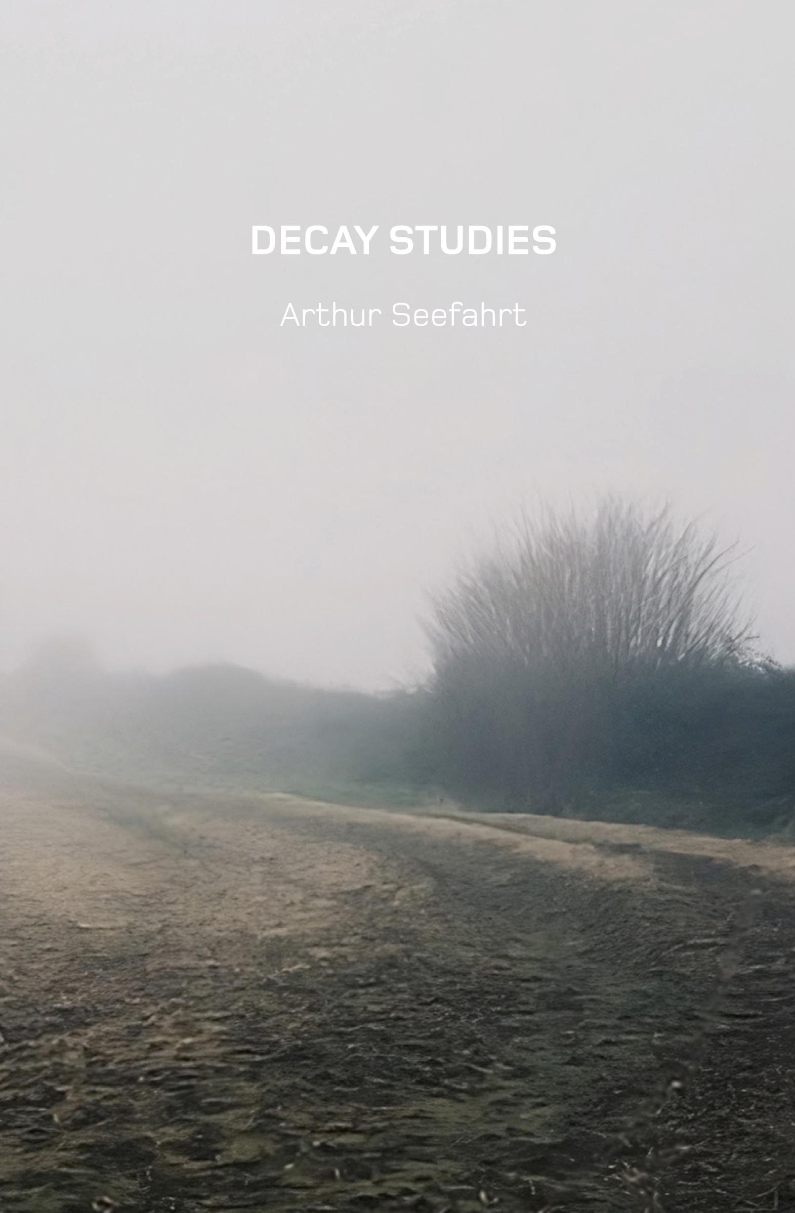 Vorderes Coverbild Decay Studies U.S. Edition