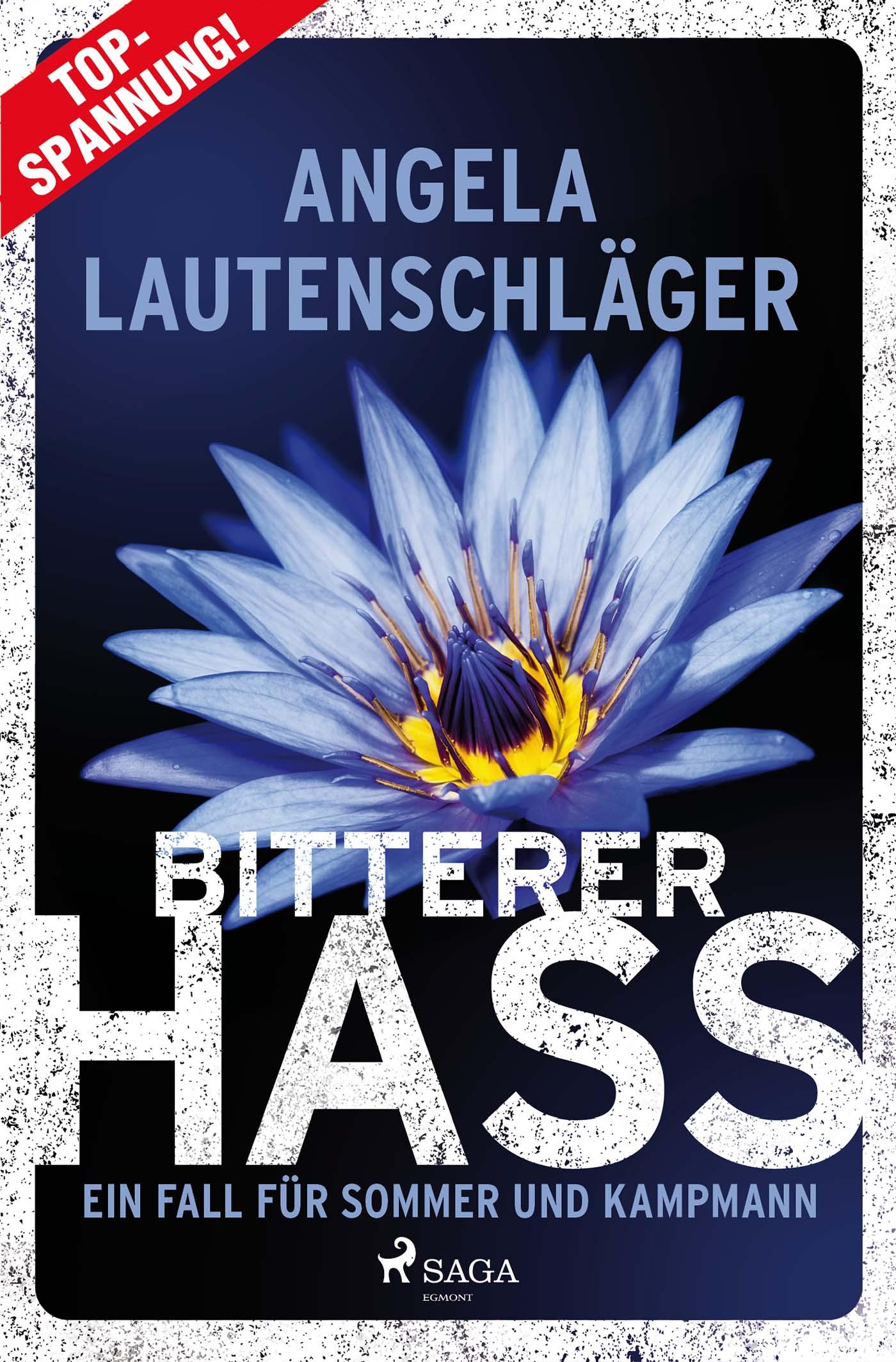 Vorderes Coverbild Bitterer Hass - Ein Fall für Sommer und Kampmann