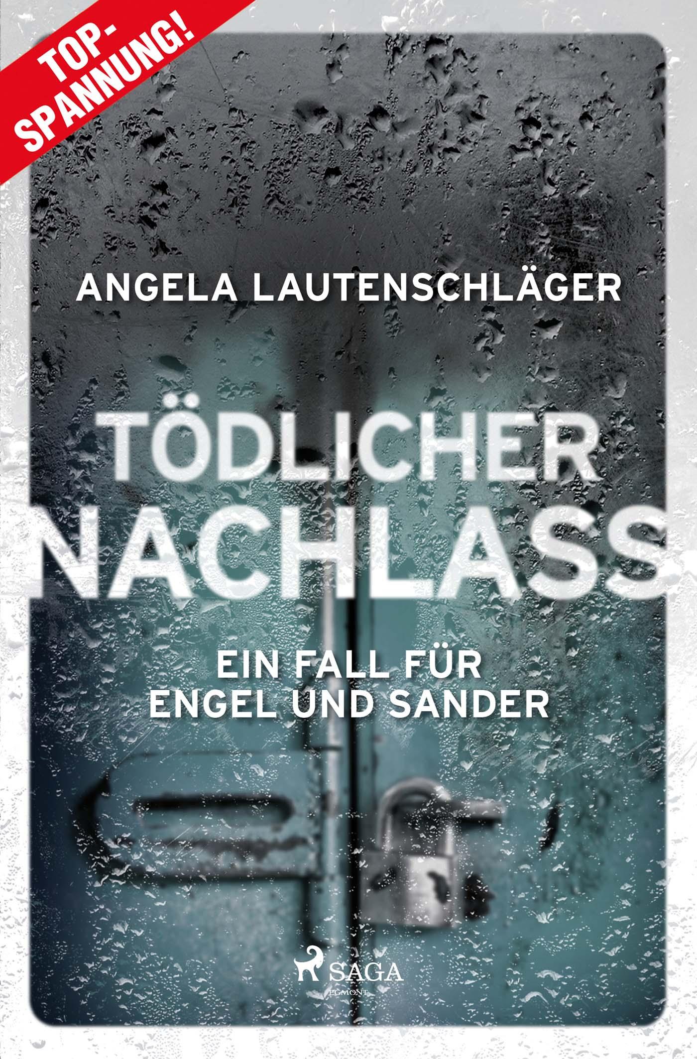 Vorderes Coverbild Tödlicher Nachlass