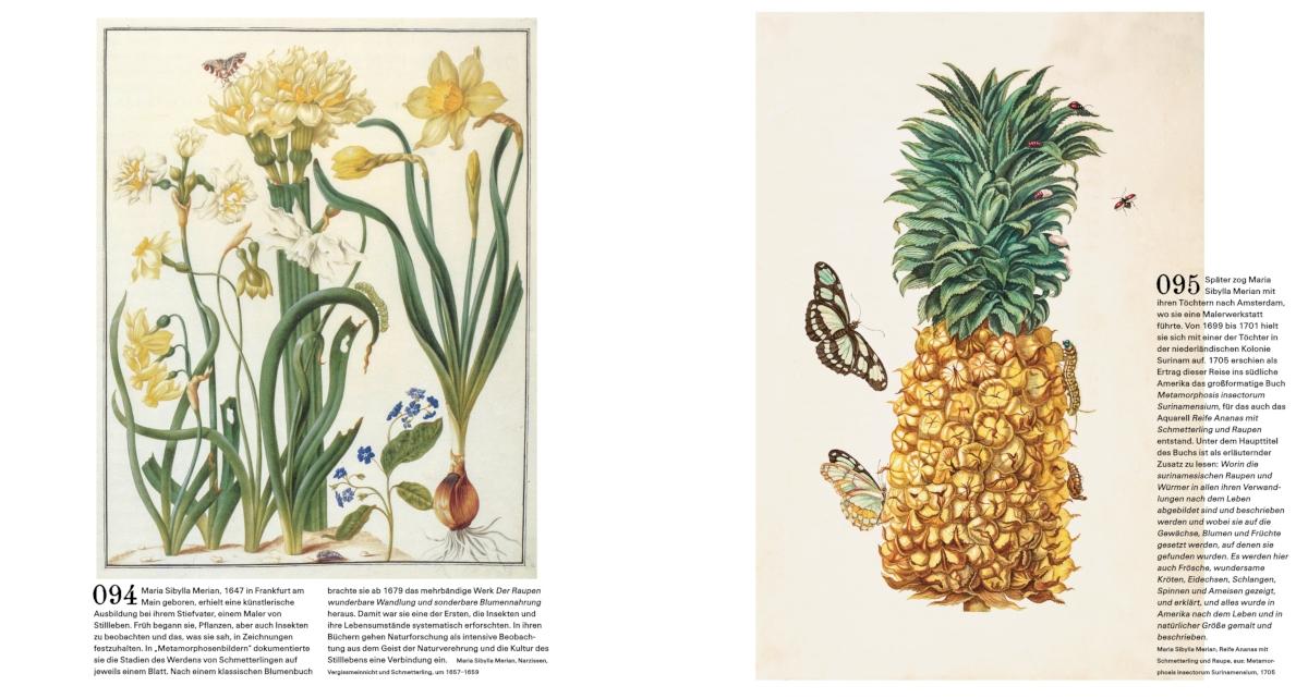 Beispielinhalt (Bild) Der Garten. Seine Geschichte in 333 Bildern