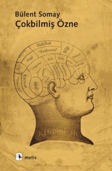 Vorderes Coverbild Cokbilmis Özne