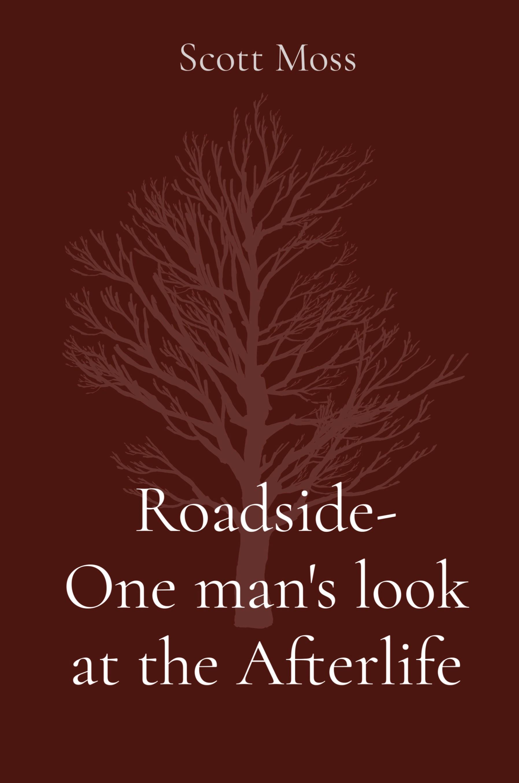 Vorderes Coverbild Roadside- One man's look at the Afterlife