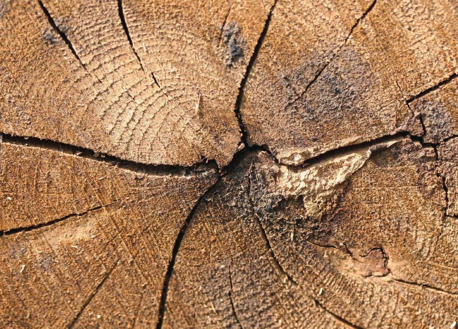 Beispielinhalt (Bild) Foto-Bildkarten Stressmanagement