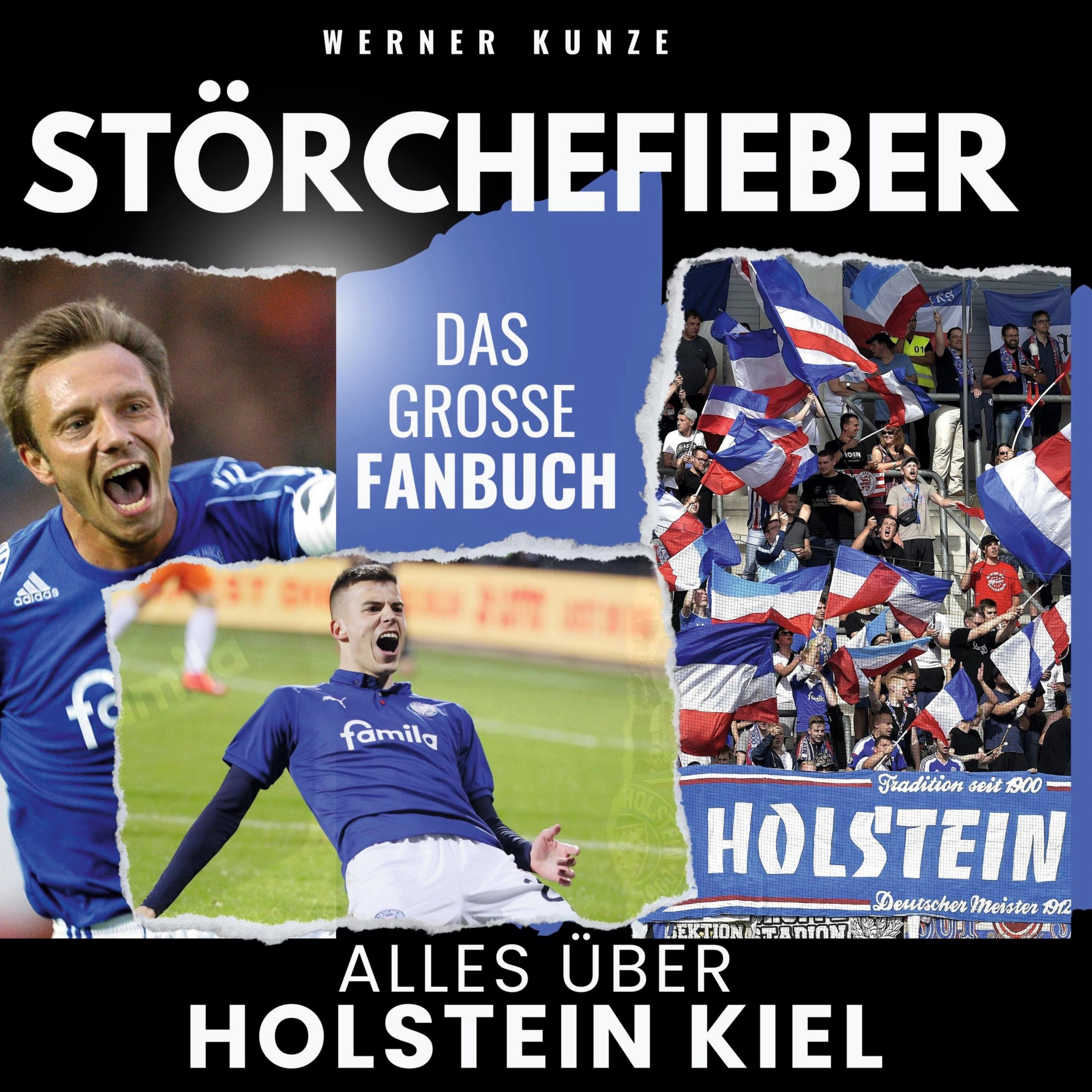Vorderes Coverbild Störchefieber