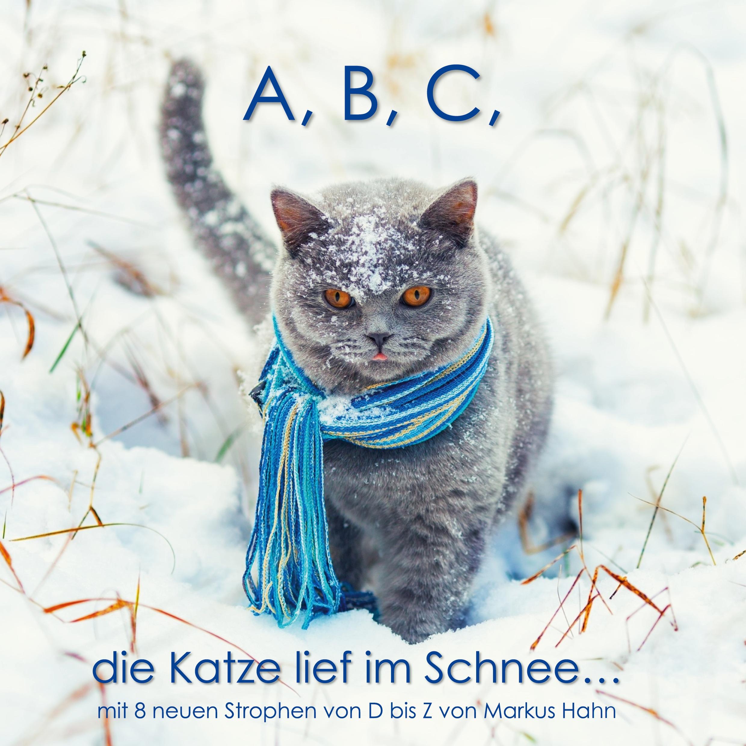 Vorderes Coverbild A, B, C, die Katze lief im Schnee