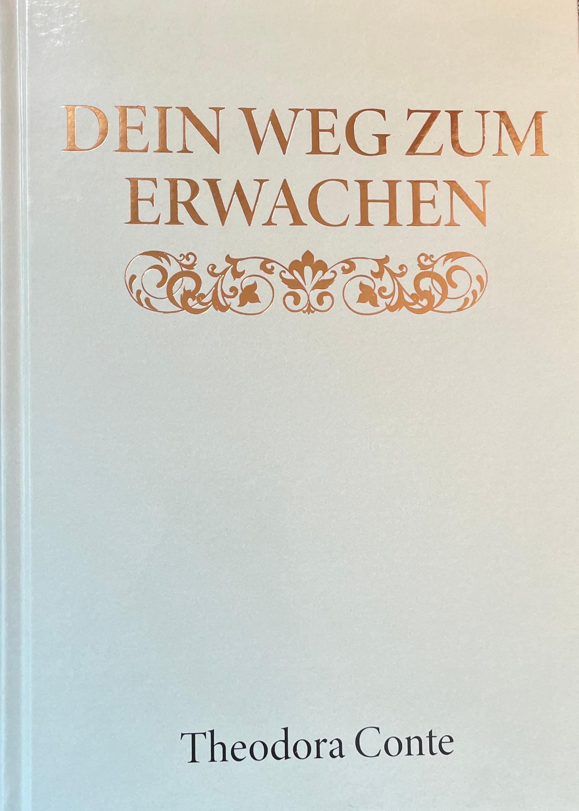 Vorderes Coverbild DEIN WEG ZUM ERWACHEN