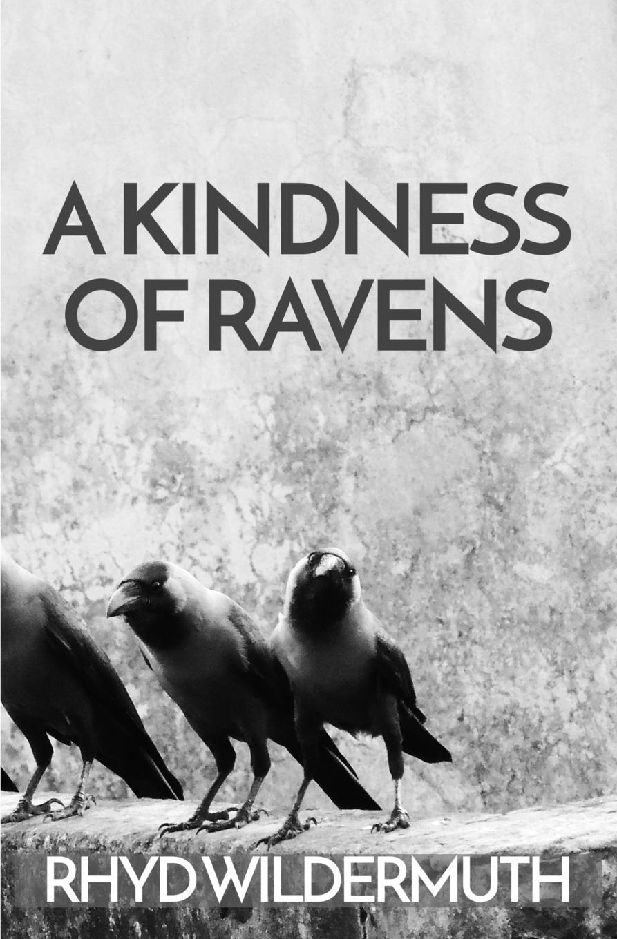 Vorderes Coverbild A Kindness of Ravens