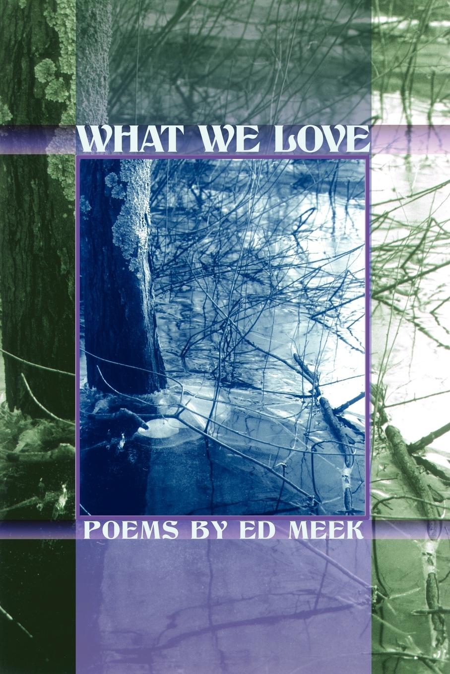 Vorderes Coverbild WHAT WE LOVE