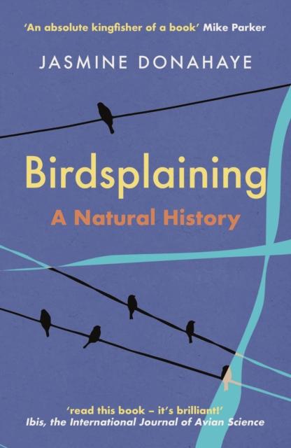 Vorderes Coverbild Birdsplaining