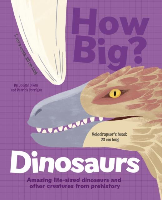 Vorderes Coverbild How Big? Dinosaurs