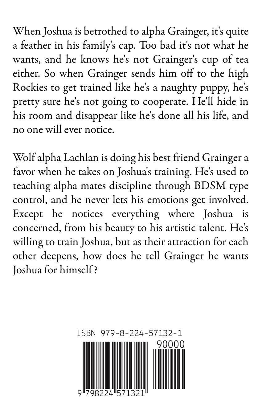 Rückseitencover Bad Dog