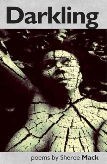 Vorderes Coverbild Darkling