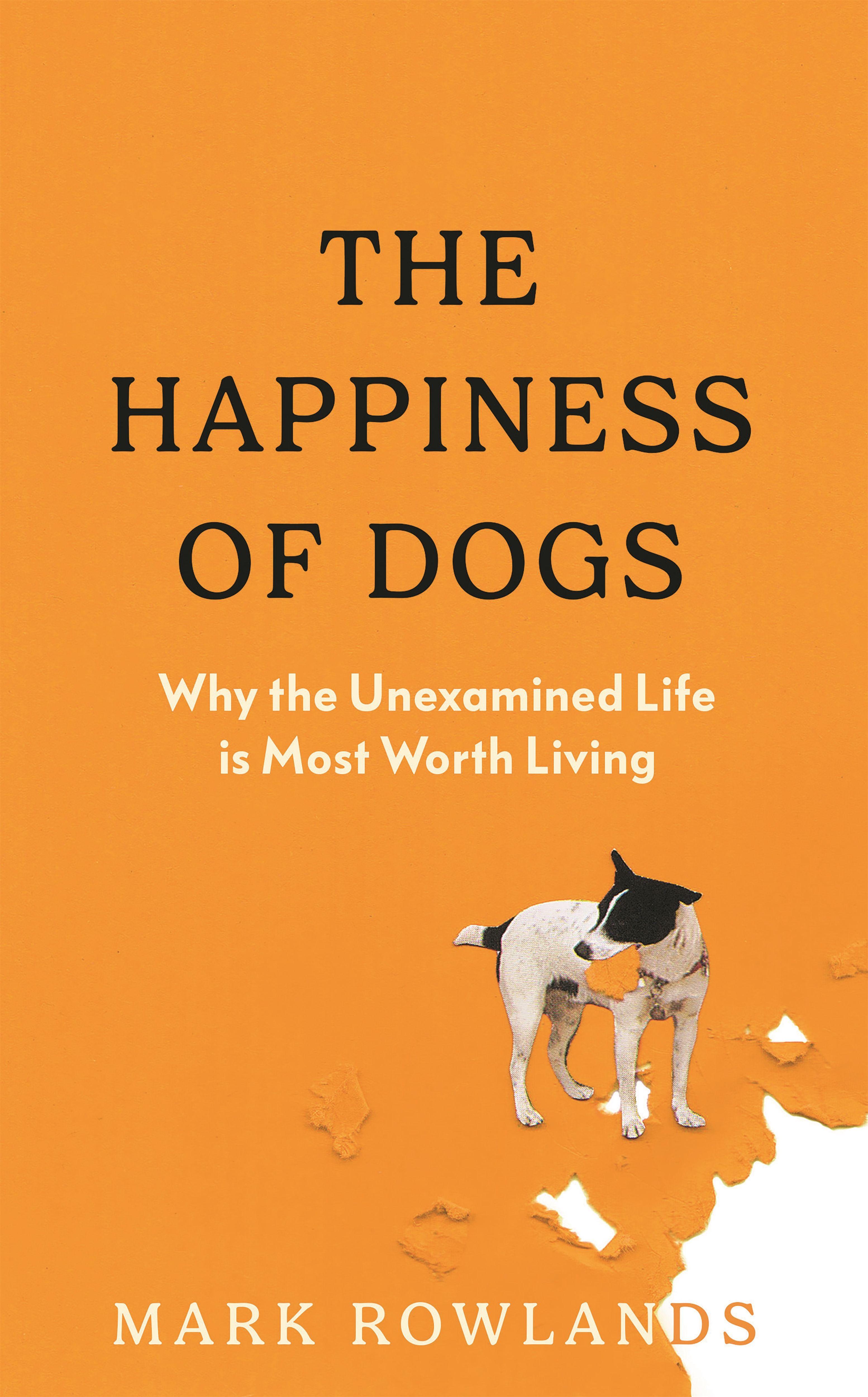 Vorderes Coverbild The Happiness of Dogs