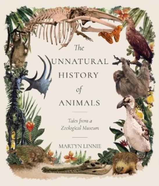 Vorderes Coverbild The Unnatural History of Animals