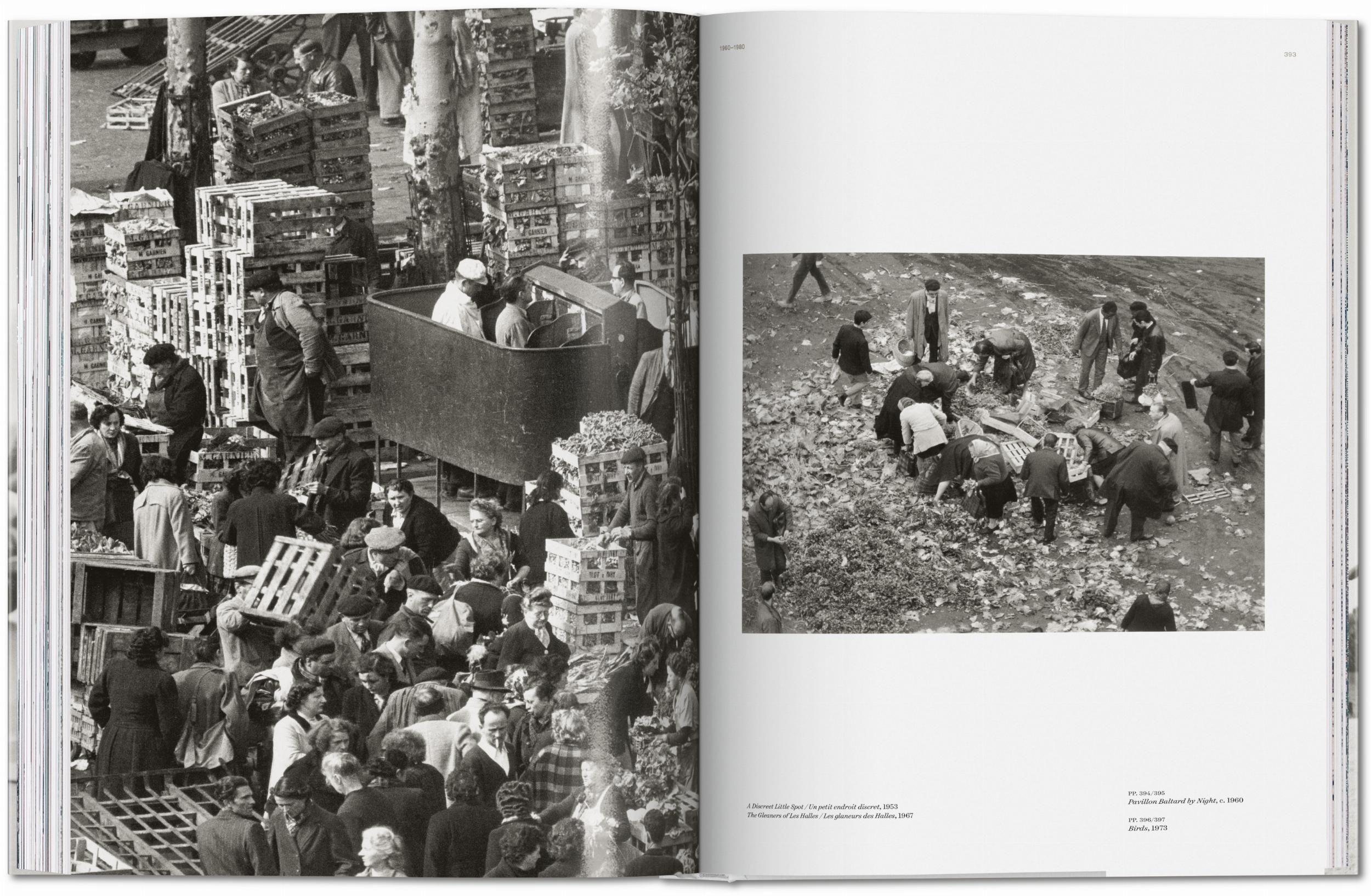 Beispielinhalt (Bild) Robert Doisneau. Paris