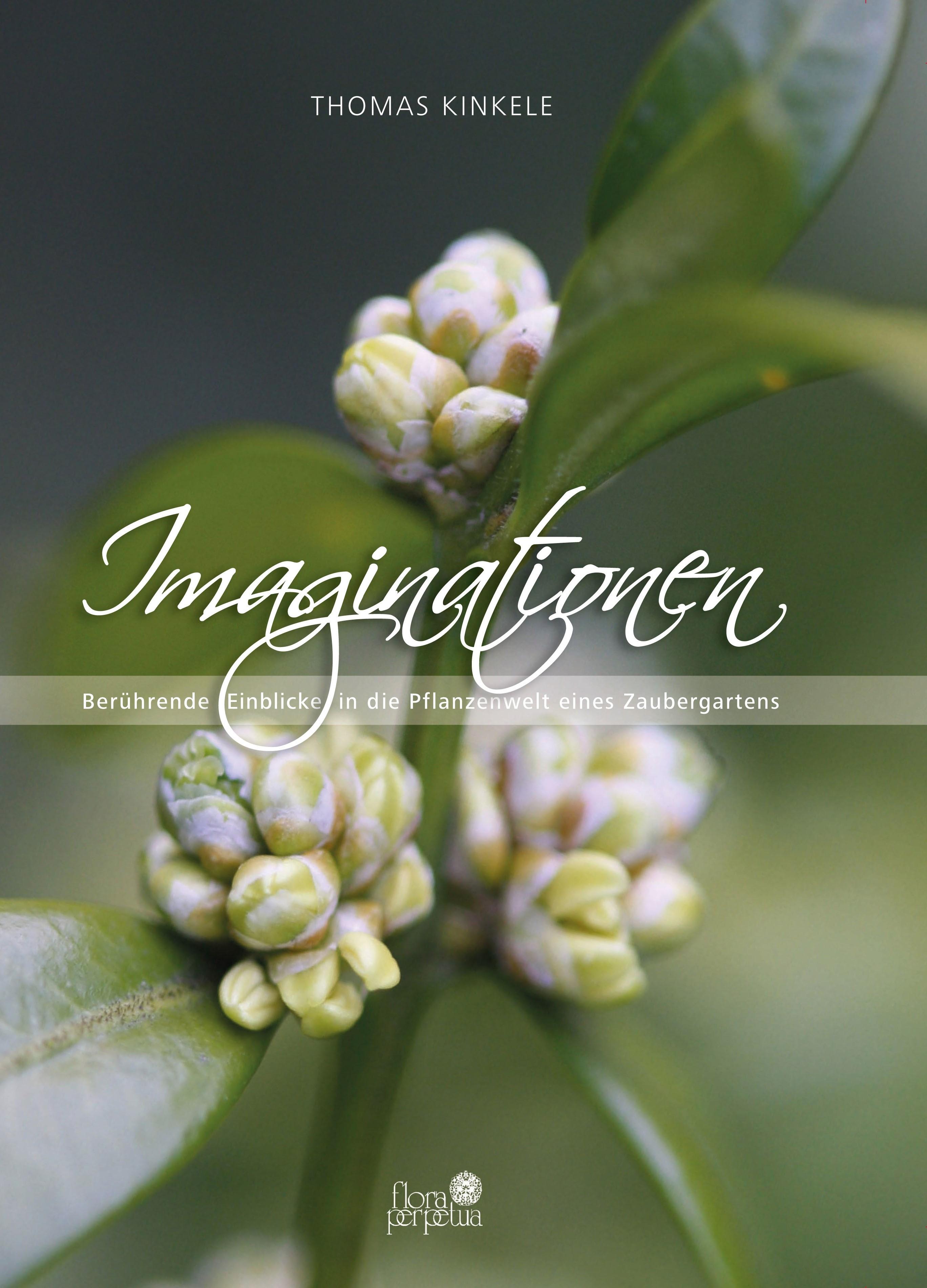 Vorderes Coverbild Imaginationen