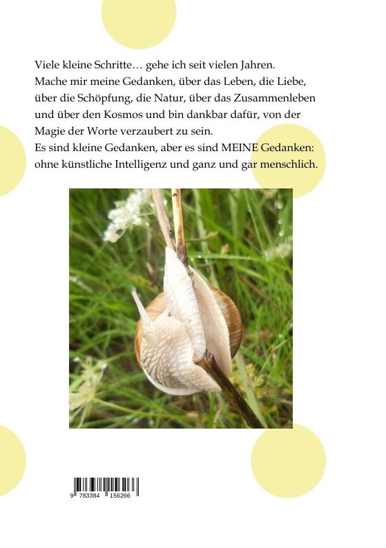 Rückseitencover Viele kleine Schritte...