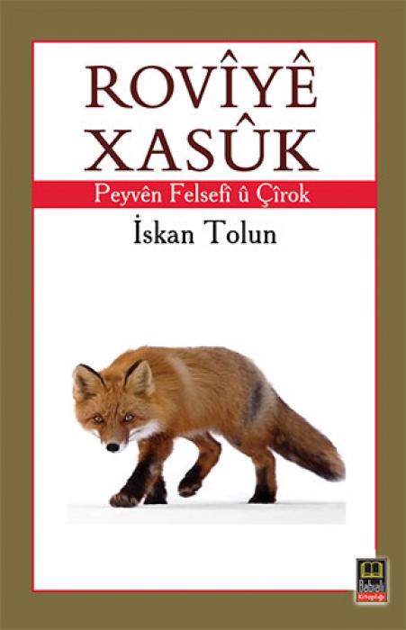 Vorderes Coverbild Rovy Xask Peyvn Felsef Crok