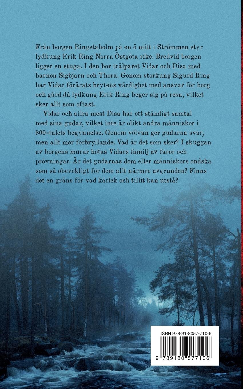 Rückseitencover Vidar