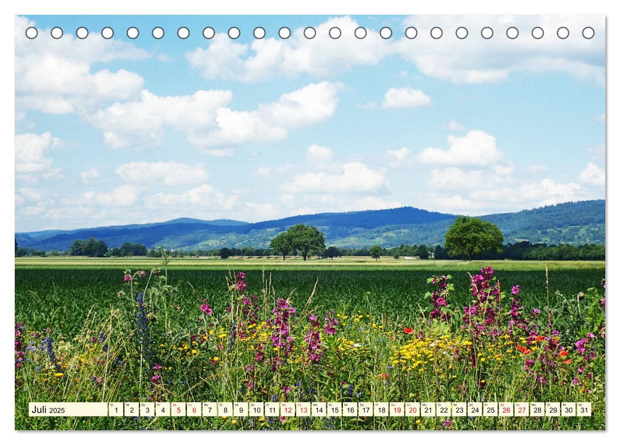 Beispielinhalt (Bild) Die Bergstraße - Sehenswerte Städte, Natur und weite Ausblicke (Tischkalender 2025 DIN A5 quer), CALVENDO Monatskalender