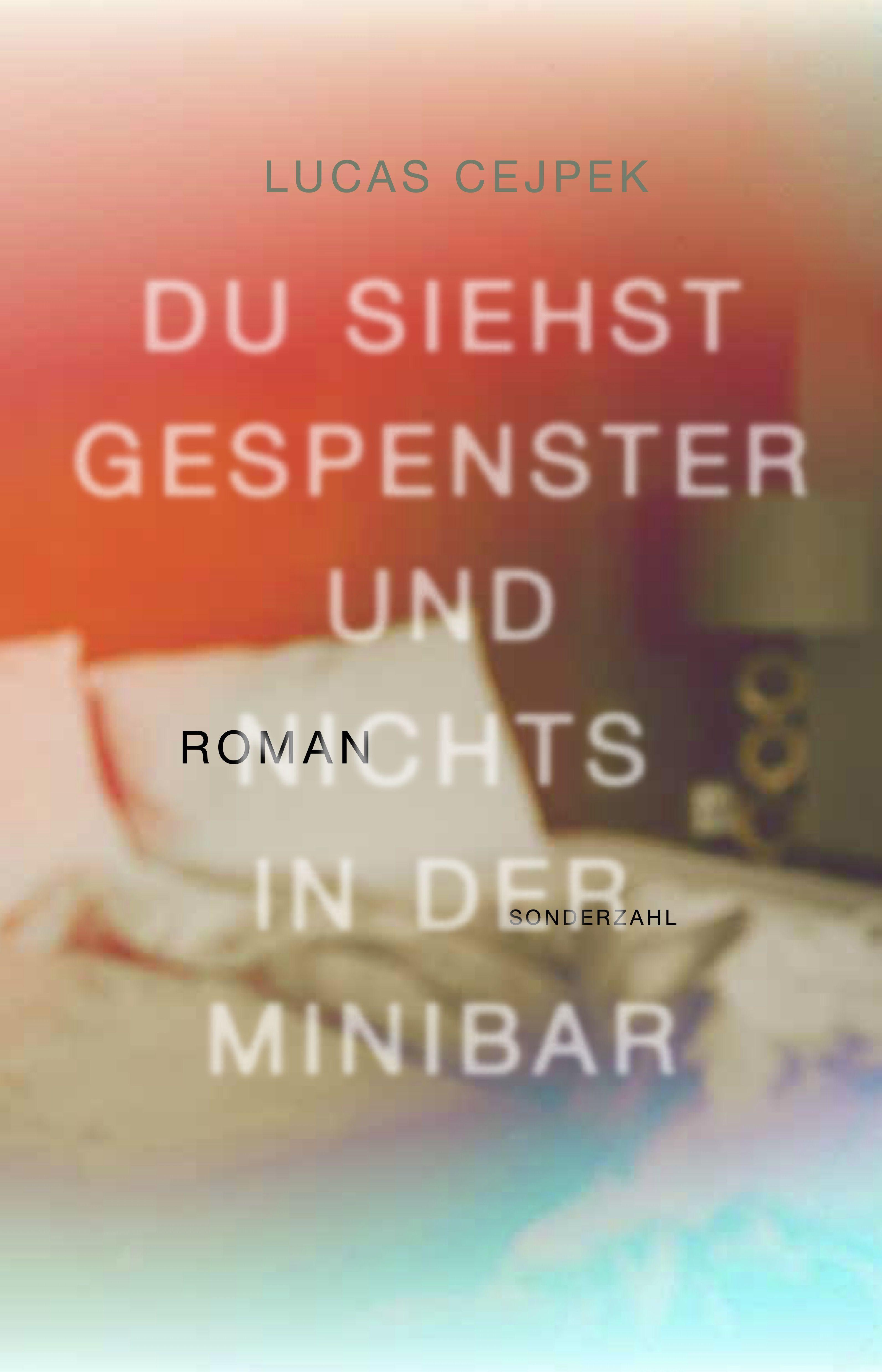 Vorderes Coverbild Du siehst Gespenster und nichts in der Minibar