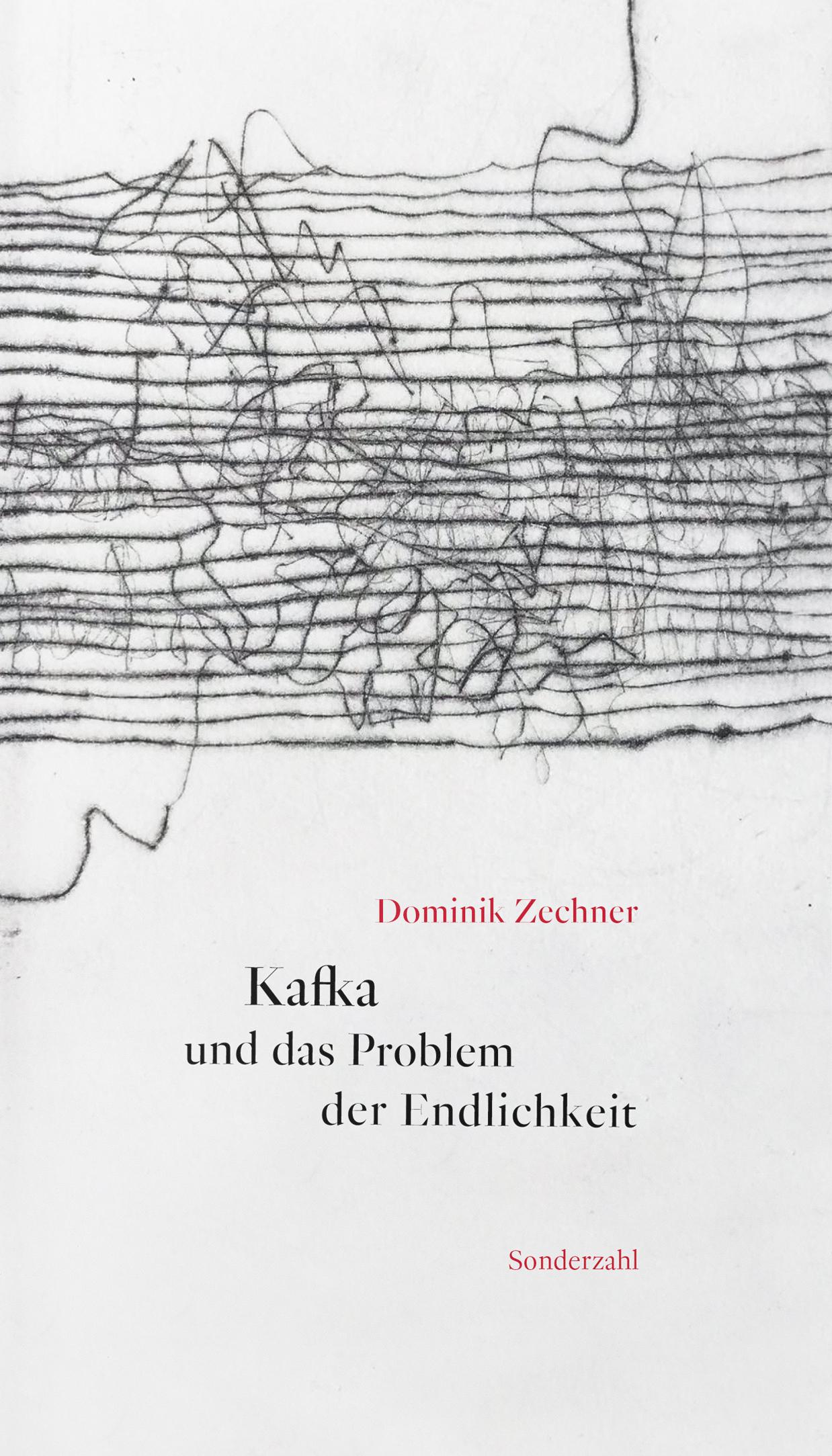Vorderes Coverbild Kafka und das Problem der Endlichkeit