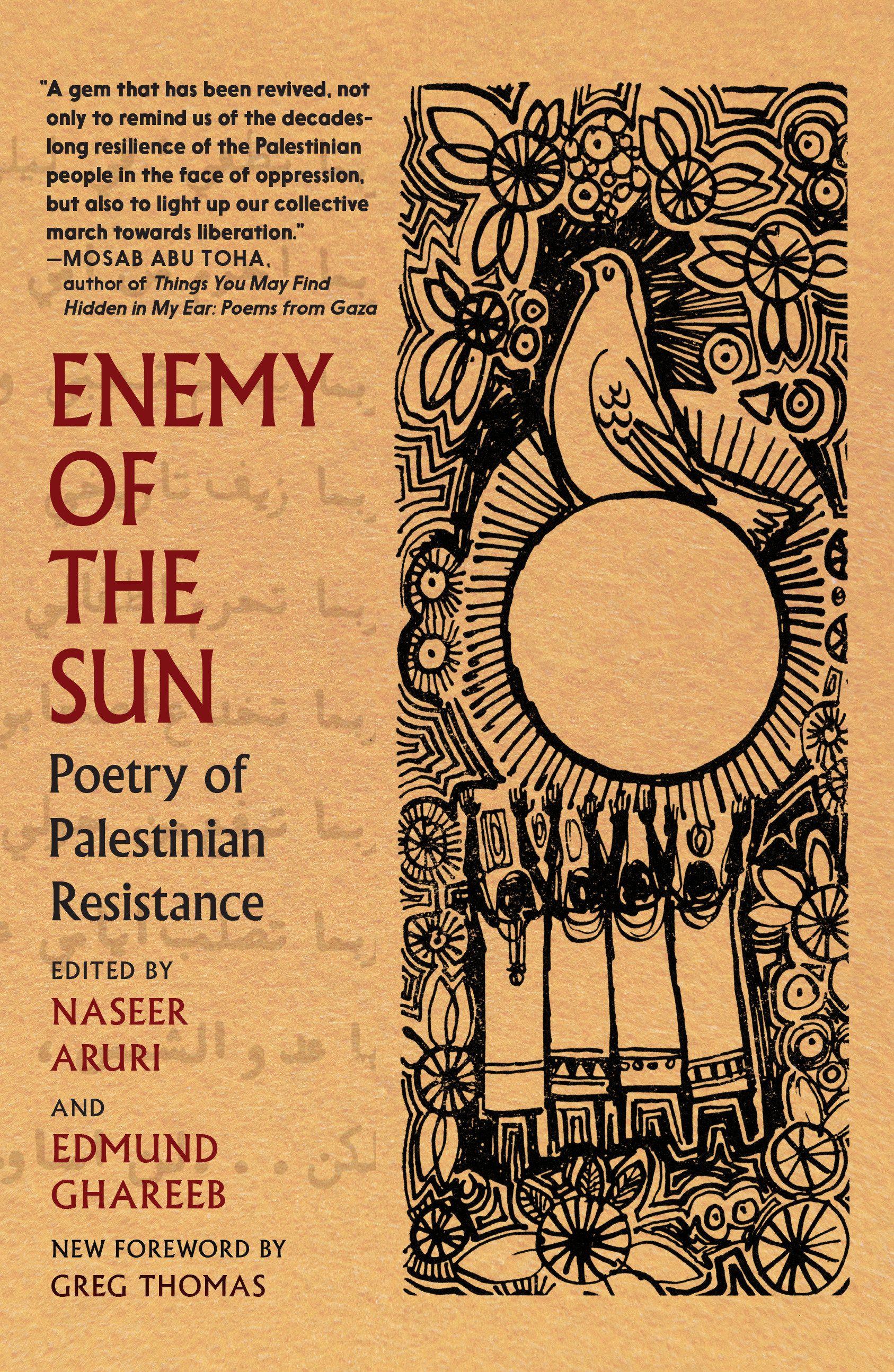 Vorderes Coverbild Enemy of the Sun